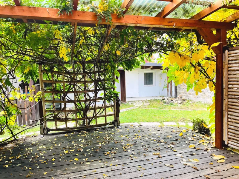 viel Grün... die überdachte Terrasse