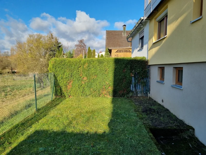 Rasenfläche im kleinen Garten