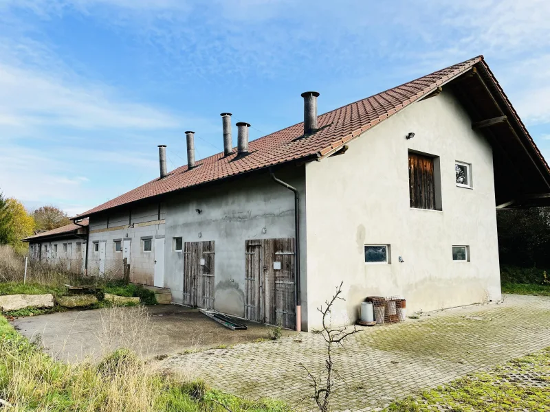 Nebengebäude/Stallung (ehemals Geflügeltierhaltung)