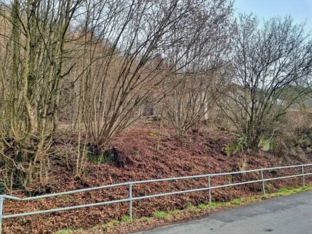 Außenansicht - Grundstück kaufen in Ebelsbach - Bauplatz (ca. 1.022 m²) in ruhiger Wohnlage von Ebelsbach, OT Steinbach