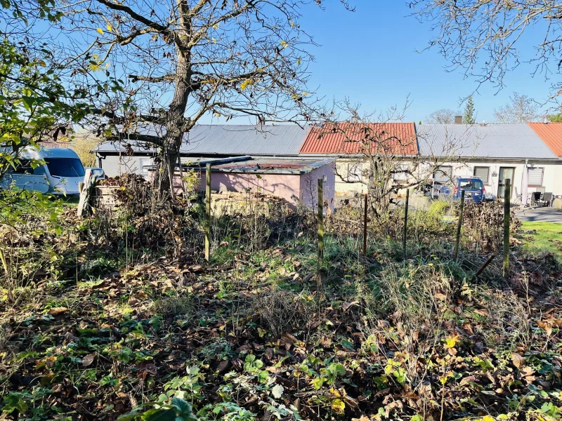 Grünland mit Blick zum Haus mit Garage