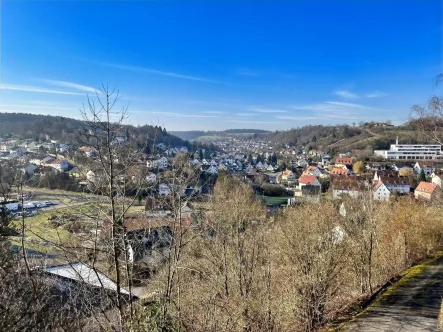 Viel Licht, Luft und Sonne... der unverbaute Weitblick - Haus kaufen in Eltmann - Ein Paradies im Grünen mit traumhaftem Panoramaausblick... sonnig gelegene Villa in Alleinlage auf ca. 24.000m² Grund