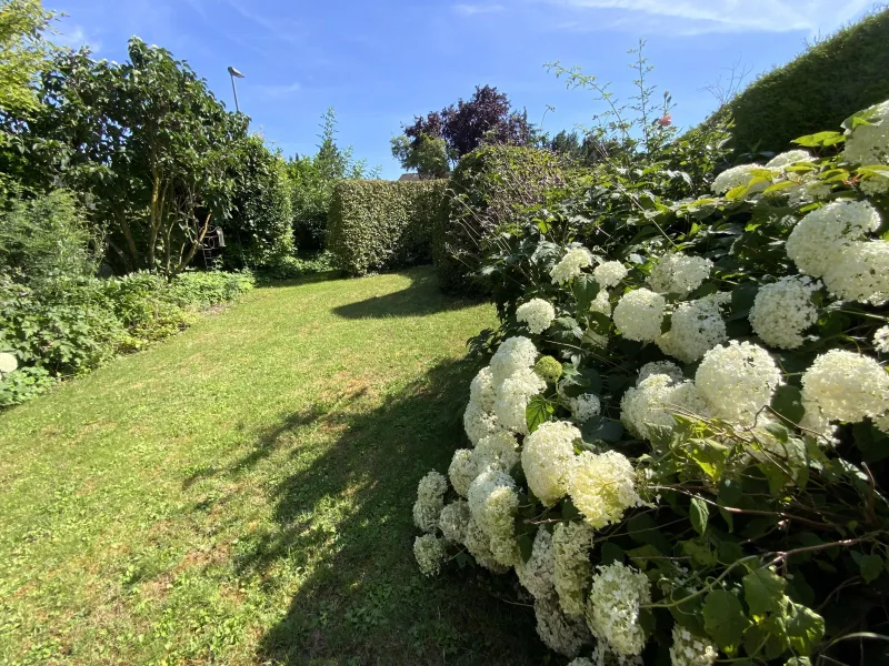 wunderschöner Garten