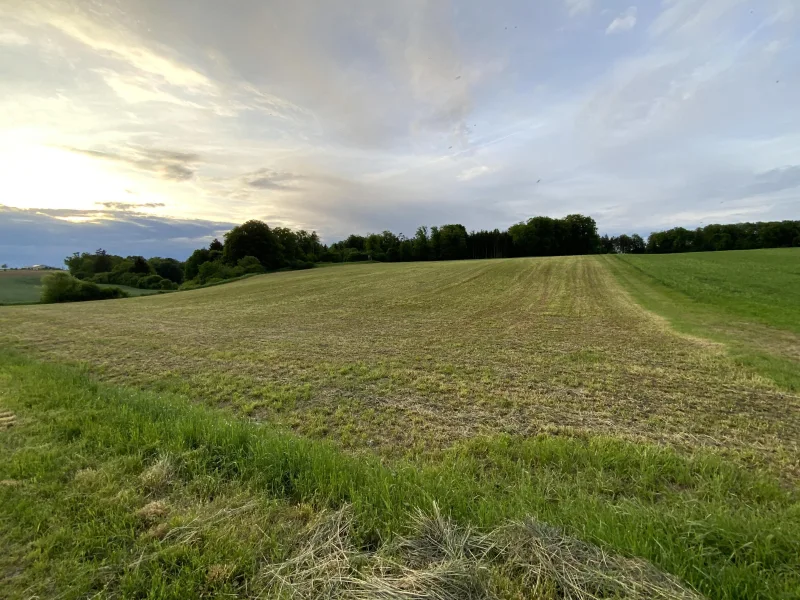 Landwirtschaftliche Fläche - Land- und Forstwirtschaft kaufen in Kipfenberg - Landwirte aufgepasst!