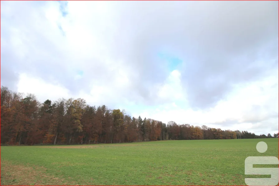 Ost-Seite Waldrand - Land- und Forstwirtschaft kaufen in Seubersdorf - Teilfläche auch möglich: Wald sucht Hobby-Förster/in oder Sachwertanleger/in