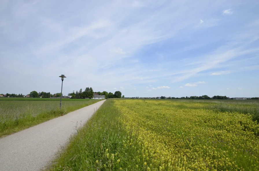 Osten - Grundstück kaufen in Hallbergmoos - Bauerwartungsland