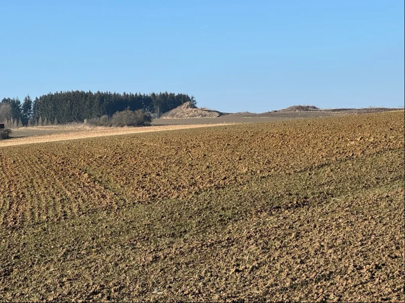 Flurstück 405 - Grundstück kaufen in Hörgertshausen - Landwirtschaftliche Flächen Gemeinde Hörgertshausen.