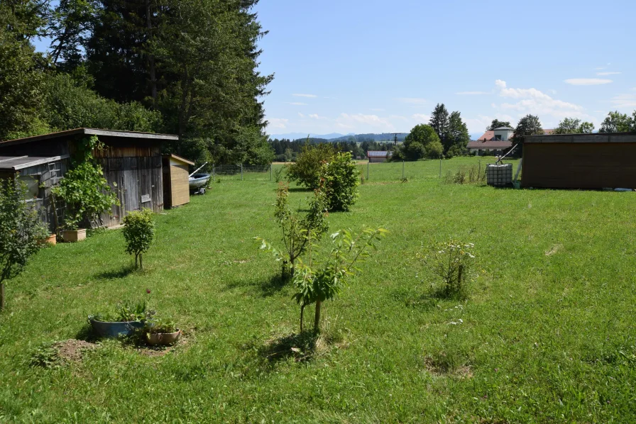 großer Garten mit Obstbäumen