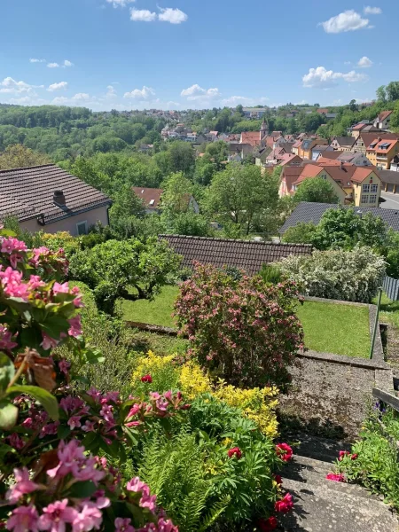 Blick in den Garten