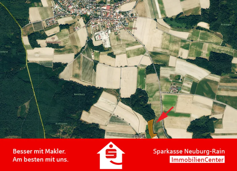 Titelbild - Grundstück kaufen in Brunnen - Waldgrundstück in Hohenried, Verkauf im Bieterverfahren