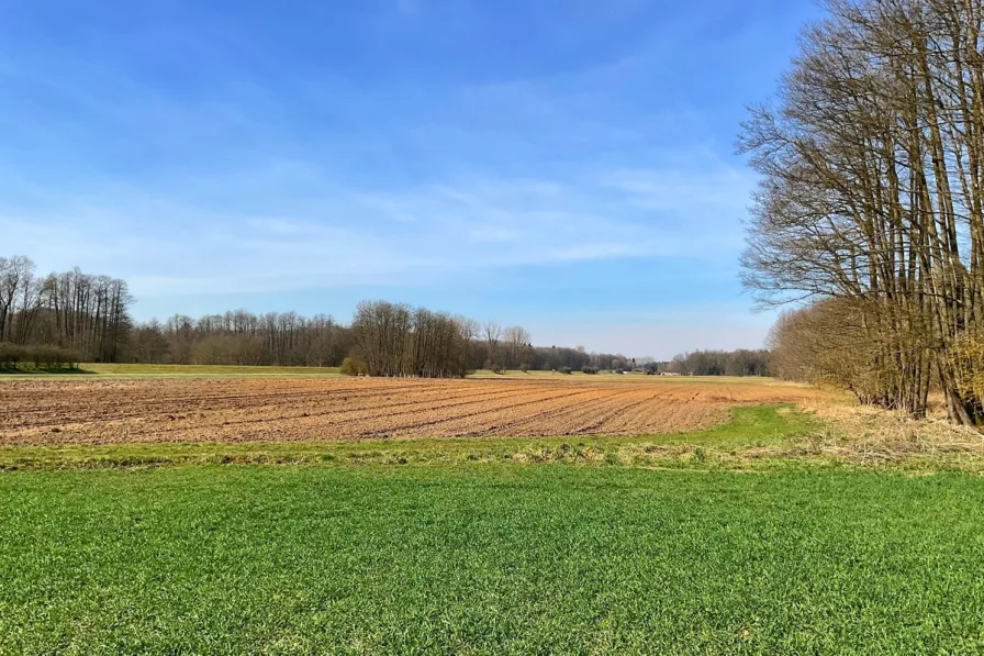 Titelbild - Mittelmoos, Landwirtschaftliche Nutzfläche - Land- und Forstwirtschaft kaufen in Rain - Acker- und Grünfläche mit 7.590 m² bei Rain/Niedermotzing