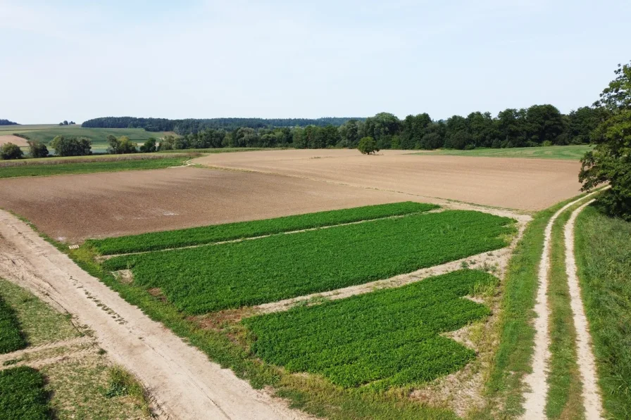 Titelbild - Land- und Forstwirtschaft kaufen in Reisbach - Landwirtschaftliche Flächen bei Niederhausen/Reisbach