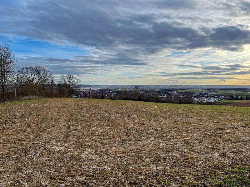 Titelbild - Land- und Forstwirtschaft kaufen in Pilsting - Landwirtschaftliche Fläche bei Großköllnbach