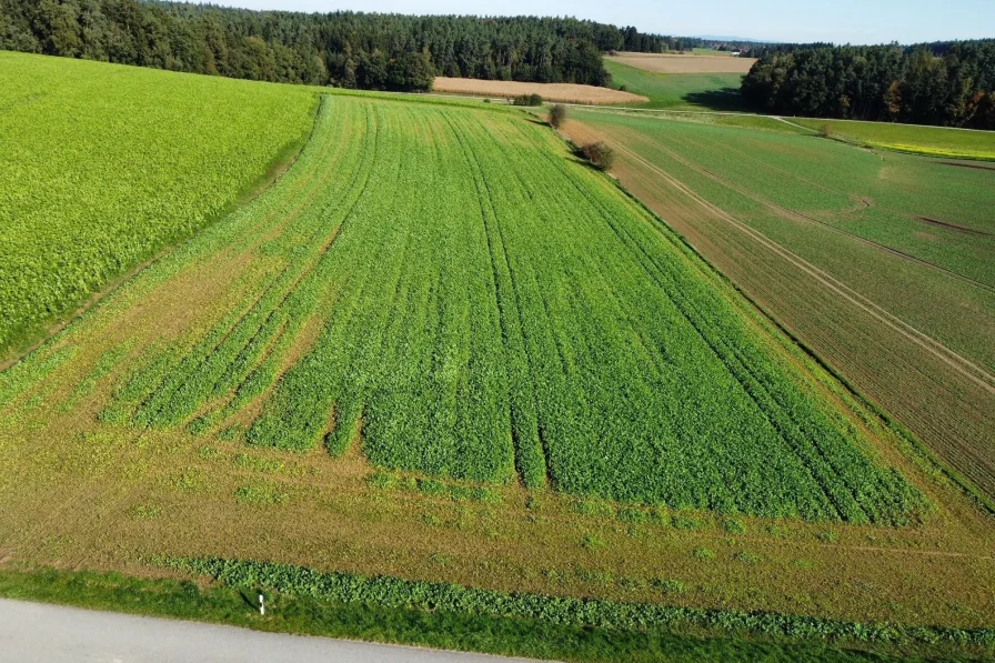 Titelbild - Land- und Forstwirtschaft kaufen in Reisbach - Acker Nähe Reisbach zwischen Reitl und Hornach