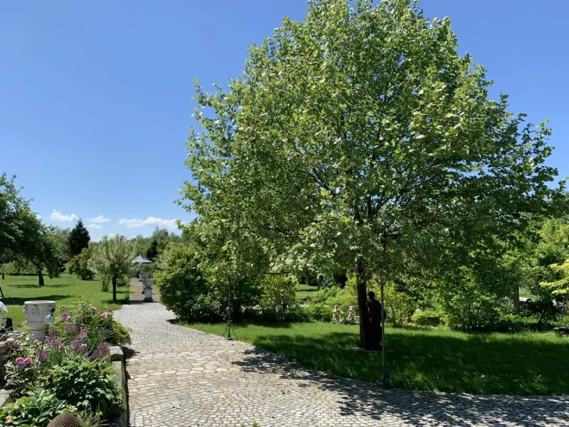 parkähnlicher Garten