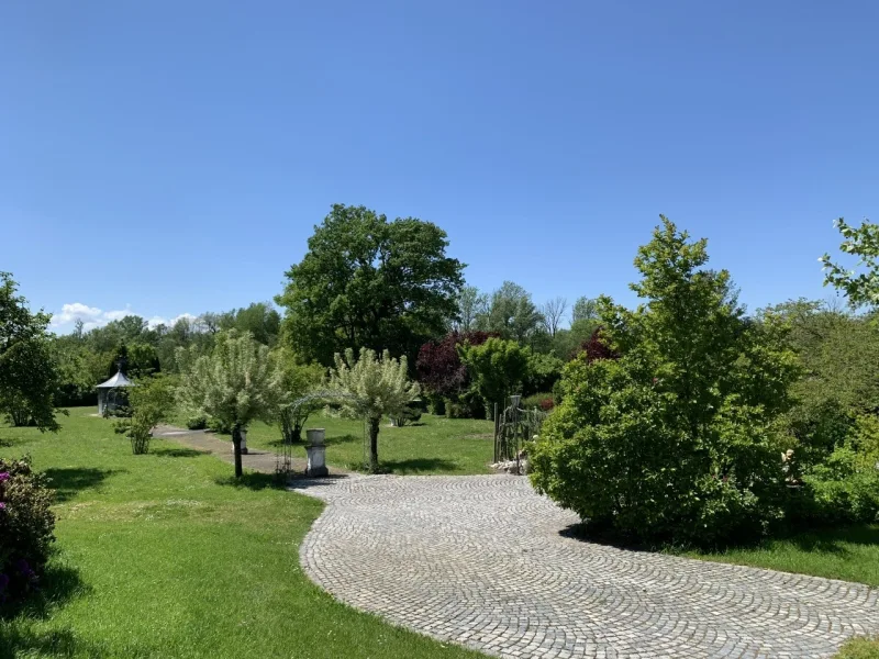 Blick in den Garten