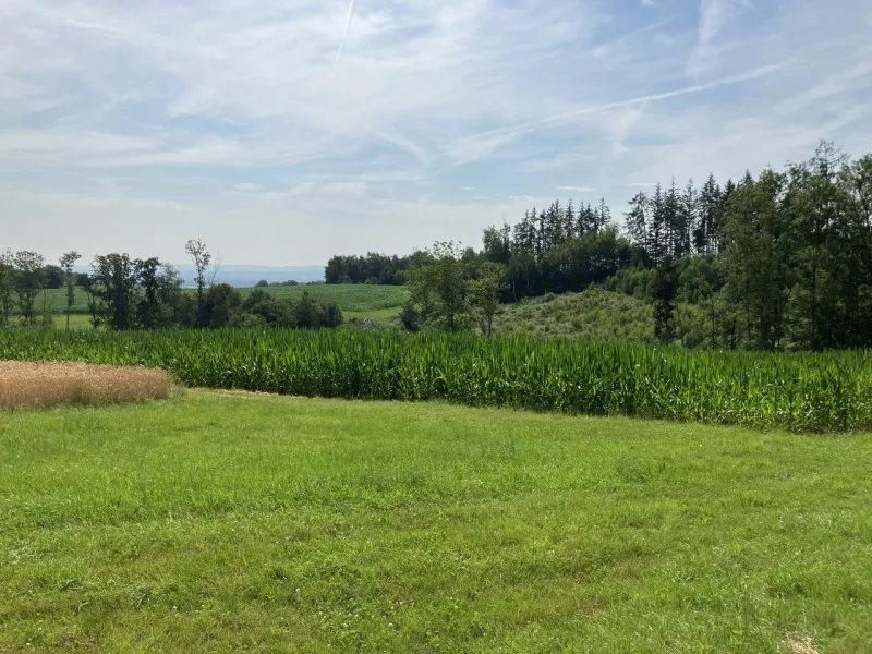 Acker, Wiese, Wald