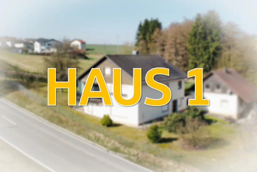 HAUS 1