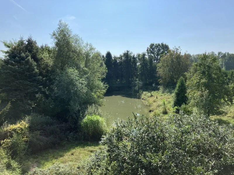 Großes Gartengrundstück mit Teich