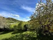 Ausblick vom Balkon