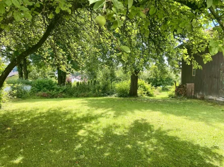 Garten - Haus kaufen in Kirchweidach - Alter Baumbestand und Bergblick inklusive!