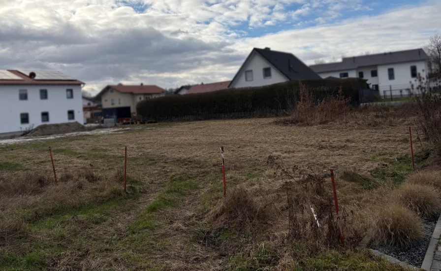 Titelbild - Grundstück kaufen in Cham - Wohnbaugrundstück in Cham zu verkaufen