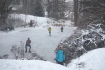 Winterfoto vom Weiher