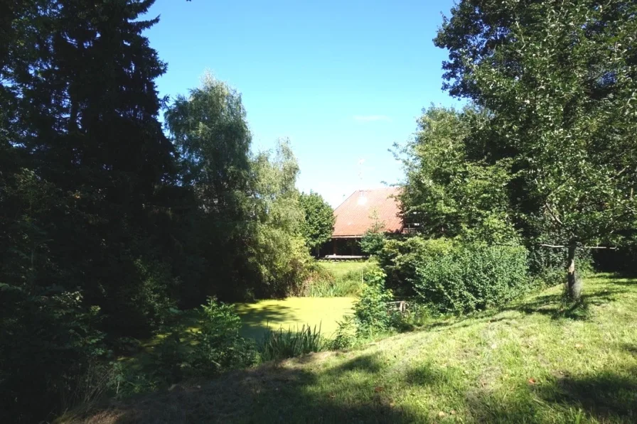 Ansicht Weiher zum Haus - Haus kaufen in Grafrath - Naturparadies 1664 m² mit eigenem Fischweiher