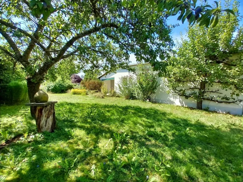 Blick zur Terrasse - Grundstück kaufen in Germering - Baugrundstück mit Altbestand