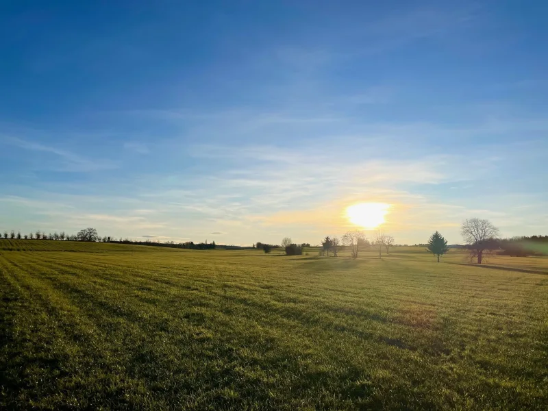 Ansicht - Grundstück kaufen in Jesenwang - Landwirtschaftliche Fläche bei Jesenwang/ Pfaffenhofen