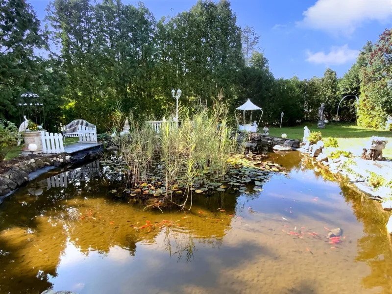 Gartenteich