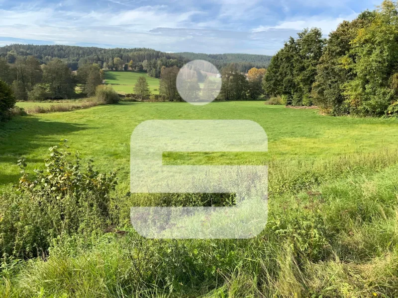 Grundstück - Grundstück kaufen in Schwarzhofen - Baugrundstück mit Blick auf die Scharzach Auen!