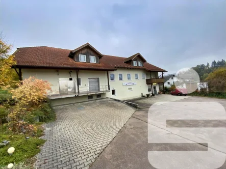 Zufahrt - Haus kaufen in Reichenbach - Hier haben Sie viel Raum für Ihre Ideen !