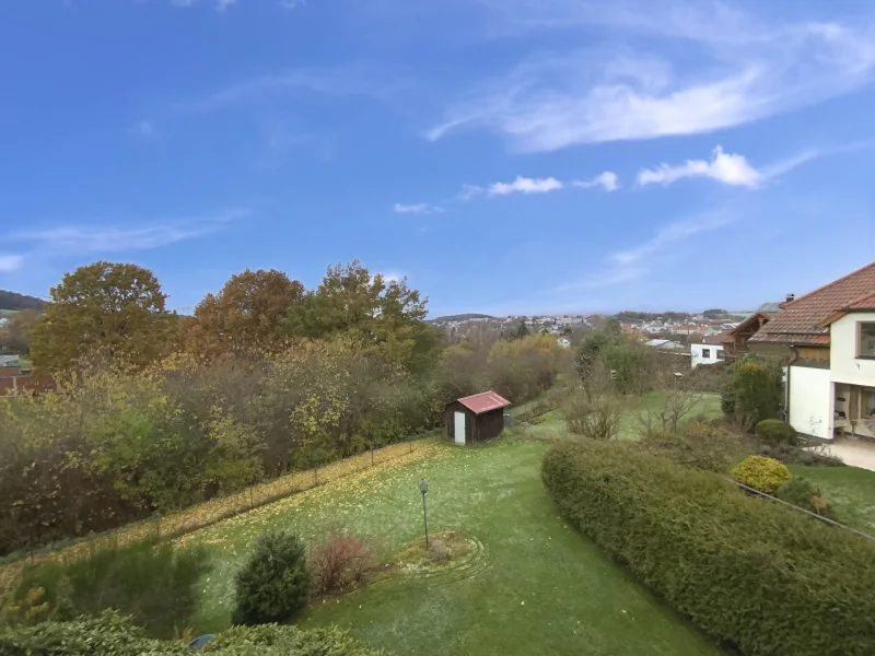 Blick über Oberviechtach