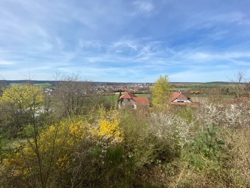 Blick über das Aurachtal - Grundstück kaufen in Stegaurach - Großzügiges Baugrundstück in traumhafter Lage bei Bamberg