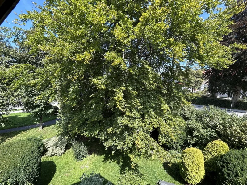 Aussicht Balkon