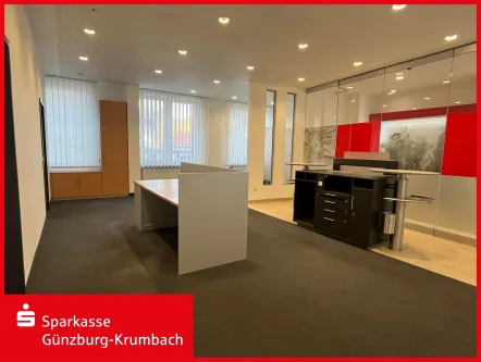 Titelbild - Büro/Praxis kaufen in Günzburg - Gewerbefläche in Reisensburg 