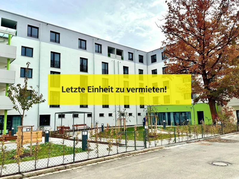 Außenansicht mit Garten und Terrasse - Wohnung mieten in Amberg - Höchste Wohnqualität für Senioren! Neubau-Mietwohnung "Betreutes Wohnen" in Amberg-Köferinger Höhe