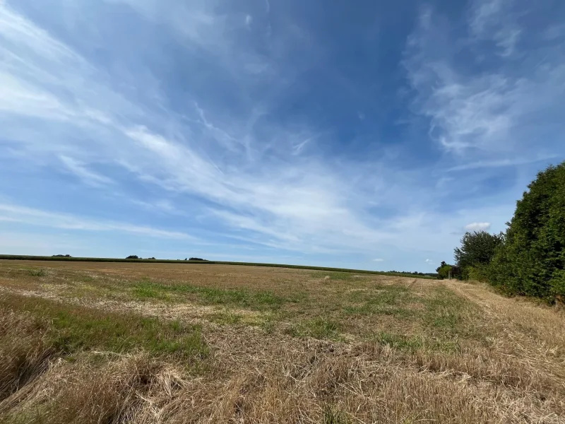 Freier Blick