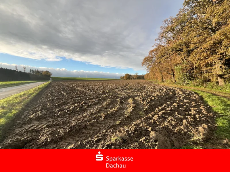 Landwirtschaftliche Fläche - Grundstück kaufen in Röhrmoos - Für den Landwirt !