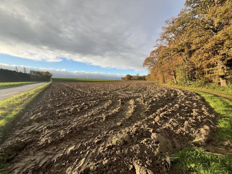 Landwirtschaftliche Fläche