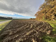 Landwirtschaftliche Fläche