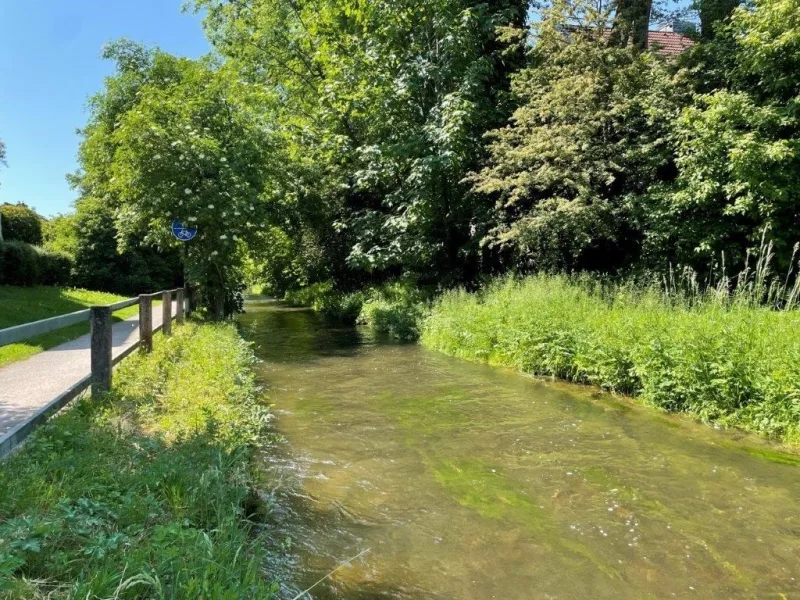 Die Würm im Sommer