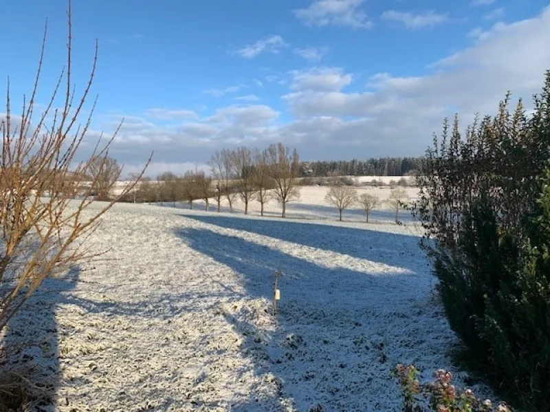 Wenige Gehminuten zur Natur