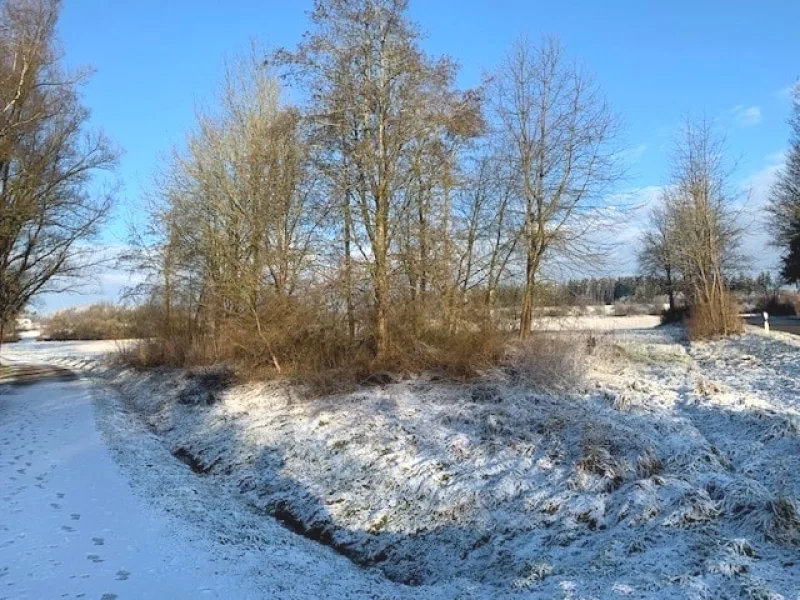 Natur in Nähe "Aufhauser Feld"