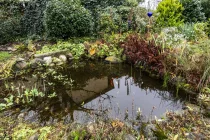 Kleiner Teich im Garten