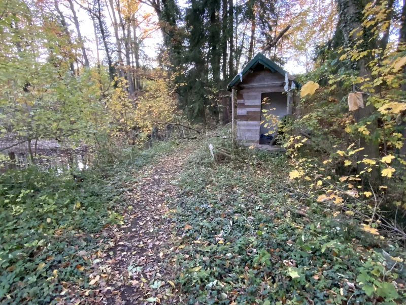 Hütte am Waldsee