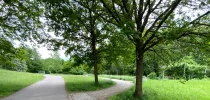 Bürgerpark