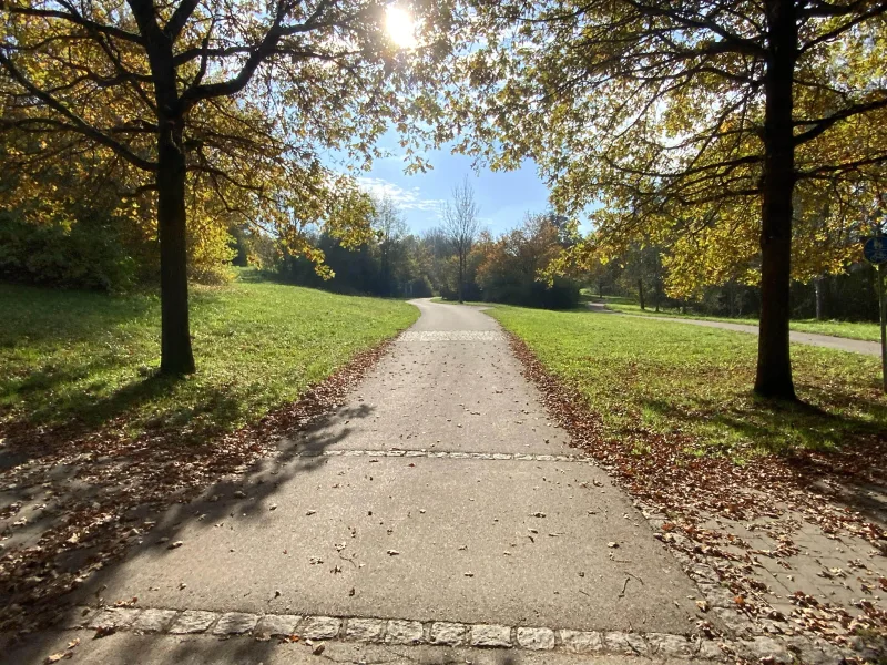 Zufahrt zum Bürgerpark