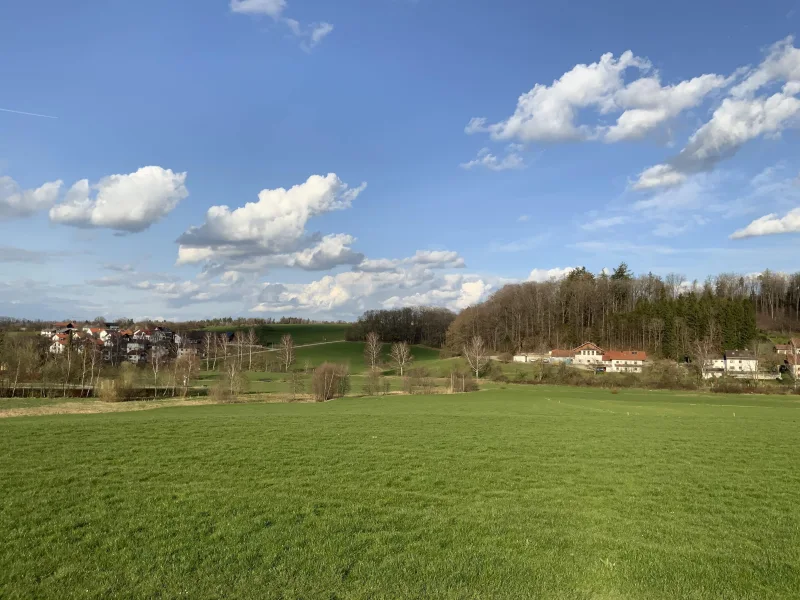 Blick vom Baugebiet nach Osten